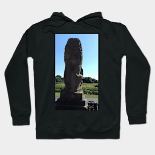 Lion Statue At Pollok House, Pollok Country Park, Glasgow Hoodie